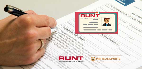 runt Florencia