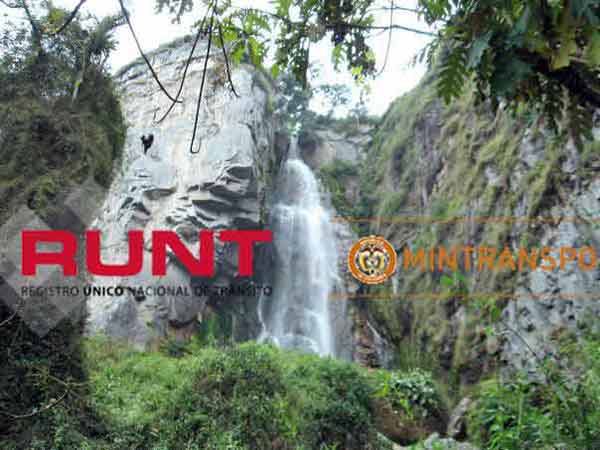 runt Mosquera