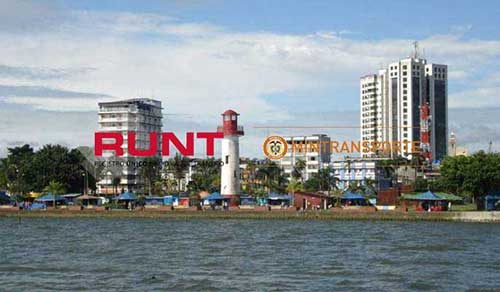 runt Guacarí Valle del Cauca