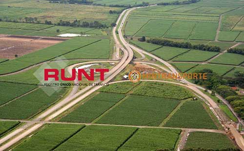 runt Ulloa Valle del Cauca