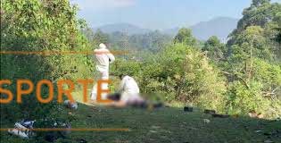 runt Cisneros Antioquia