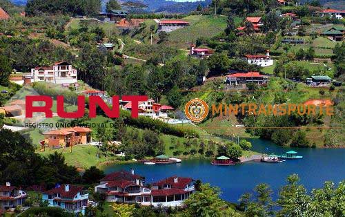 runt Buenaventura Valle del Cauca