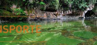 runt Puerto Berrío Antioquia