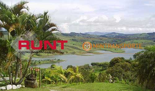 runt Sevilla Valle del Cauca