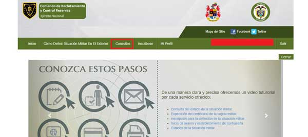 CONSULTAS AMNISTIA DE REMISOS