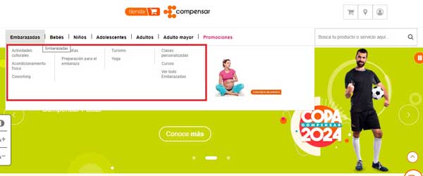 SUBCATEGORIAS TIENDA COMPENSAR