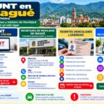 Infografía sobre consultas del RUNT, Secretaría de Movilidad de Ibagué, trámites vehiculares y SIMIT
